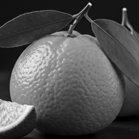 Scent details